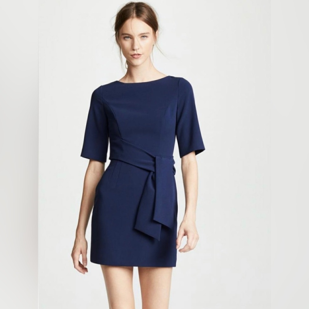 Alice & Olivia Virgil Dress